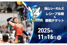 【2025年11月16日(日)】岡山シーガルズ所属選手のアタックのレシーブ体験＆観戦チケット 先着 限定10件 バレー バレーボール 観戦 チケット 体験 岡山