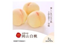 桃 2026年 先行予約 岡山白桃 3玉 約750g 化粧箱入り 岡山県 赤磐市産 果物 フルーツ 白桃 もも モモ