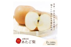 梨 2026年 先行予約 あたご梨 2玉 岡山県 赤磐市産 果物 フルーツ