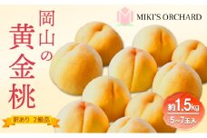 桃 【 訳あり 2級品 】 2026年 先行予約  黄金桃 約1.5kg(5～7玉入り) MIKI’S ORCHARD もも モモ 果物 フルーツ 岡山 赤磐市