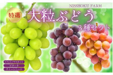 急上昇ランキング入り！ NISSHOKU　FARM　特選　大粒ぶどう３種セット（シャインマスカット入り）岡山 ぶどう 真庭市 高級 ギフト 贈り物 ピオーネ クイーンニーナ