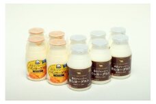 （定期便）12ヶ月 全12回 蒜山ジャージー飲むヨーグルトセット 岡山 蒜山 真庭 乳製品セット 濃厚 飲むヨーグルト ジャージー 乳酸菌 マンゴー 人気 デザート スイーツ ヨーグルト ギフト おやつ 子供から大人まで 冷蔵 健康