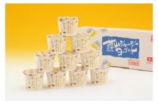 （定期便）12ヶ月×月2回 全24回 蒜山ジャージーヨーグルトセット 定番人気NO.1 冷蔵 「ご当地ヨーグルトグランプリ」金賞 デザート プレゼント 蒜山酪農 真庭   岡山  ジャージー 牛 牛乳 ミルク 濃厚 乳製品 おやつ 子供から大人まで 人気 ランキング 女性 ヨーグルト