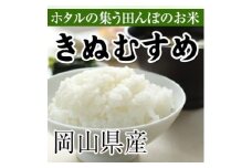 ＜定期便 全3回＞令和6年産 きぬむすめ 白米 5kg 岡山県真庭市産 ／ 国産 お米 ブランド米