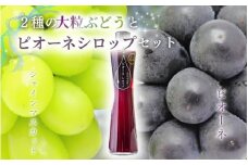 NISSHOKU　FARM　特選　大粒ぶどうとピオーネシロップのセット（シャインマスカット入り）岡山 【nisfarm011-01】