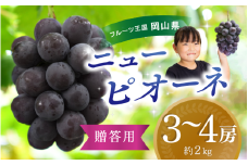 【2025年先行予約】ぶどう 岡山 花笑み農園『ニューピオーネ』約2kg（3～4房） hana06-2 贈答用 岡山 真庭 ピオーネ 高級 2kg 贈答 2025 真庭市 大粒 葡萄 果物 フルーツ 濃厚ピオーネ 人気 数量限定 2025年9月上旬～ 受付順に発送予定
