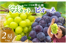 高糖度★ シャインマスカット&ニューピオーネ 1kg～1.5kg（2房） 贈答用にも 花笑み農園厳選 【2025先行予約】 岡山 真庭 ピオーネ 詰め合わせ 高級 贈答 2025 真庭市 大粒 葡萄 食べ比べ 果物 フルーツ 濃厚ピオーネ 人気 シャインマスカット 数量限定 2025年9月中旬～ 受付順に発送予定