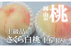 KF-A010-01【きよとうファーム】さくら白桃（上級品）4-6玉入 (岡山県産)