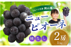 【2025年先行予約】ぶどう 岡山 花笑み農園『ニューピオーネ』1kg（2房） hana14 贈答 岡山 真庭 ピオーネ 高級 1kg 贈答 2025 真庭市 大粒 葡萄 果物 フルーツ 濃厚ピオーネ 人気 数量限定 2025年9月上旬～ 受付順に発送予定