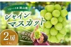 【2025年先行予約】ぶどう 岡山 花笑み農園 『シャインマスカット』1kg（2房）hana15 贈答用 岡山 真庭 シャインマスカット 高級 1kg 贈答 2025 真庭市 大粒 葡萄 果物 フルーツ シャインマスカット 人気 数量限定 2025年9月下旬～ 受付順に発送予定