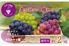 hana19-1.岡山　花笑み農園のブドウ『食べ比べ４種セット』シャインマスカット入り　2kg（4房）