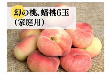 KF-A008【きよとうファーム】幻の桃、蟠桃 ご家庭用 6玉 (岡山県産)