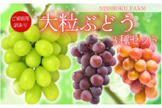 NISSHOKU FARM ご家庭用大粒ぶどう３種セット岡山　訳あり【NF-13-01】 ぶどう 詰め合わせ 真庭市 食べ比べ