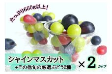 【産地直送】フルーツ王国岡山！シャインマスカット入りぶどう粒カップ×２ 【2025年先行予約】 / 岡山 真庭 シャインマスカット 食べ比べ 葡萄 ブドウ ぶどう 新鮮 果物 フルーツ 人気 数量限定 粒切 食べやすい  ギフト ぶどう専門 林ファミリー  (2025年9月～発送予定)