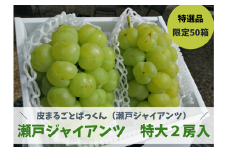 KF-B050【きよとうファーム】瀬戸ジャイアンツ 特大２房/計1.3kg~ (岡山県産)