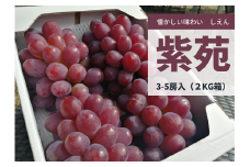 KF-B041【きよとうファーム】紫苑(しえん)3-5房/計2.0kg~ (岡山県産)