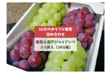 KF-B045【きよとうファーム】紫苑＆瀬戸ジャイアンツ 3-5房/計2.0kg~ (岡山県産)