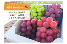 KF-B027【きよとうファーム】秋ぶどう３品種詰め合わせ（シャインマスカット・マイハート・紫苑）/計2.0kg~ (岡山県産)