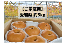 KF-C008-02【きよとうファーム】あたご梨 ご家庭用/約５㎏ (岡山県産)