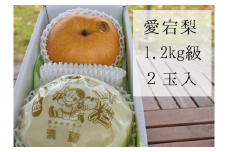 KF-C005【きよとうファーム】あたご梨 上級品 2玉入(1.2㎏級/玉) (岡山県産)