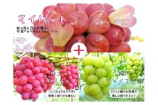 【産地直送】フルーツ王国岡山シャインマスカットの娘マイハート入り！ぶどう１.２kg詰め合わせ 【2025年先行予約】 / 岡山 真庭 マイハート 瀬戸ジャイアンツ サニードルチェ マスカット 食べ比べ 葡萄 ブドウ ぶどう 贈答 新鮮 果物 フルーツ 人気 数量限定  ギフト ぶどう専門 林ファミリー (2025年9月下旬～発送予定)