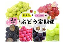 【産地直送】岡山シャインマスカット＆マイハート入り！新鮮ぶどう定期便２．４ｋｇ(４～６房) ２回に分けてお届け！ 【2025年先行予約】 / 岡山 真庭 食べ比べ シャインマスカット マイハート ピオーネ サニードルチェ 瀬戸ジャイアンツ 贈答 葡萄 ぶどう ブドウ 果物 フルーツ 新鮮 人気 数量限定 ぶどう専門 林ファミリー (2025年9月上旬～発送予定)