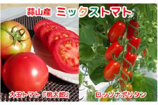 亮麻農園　ミックストマト　大玉トマト「桃太郎」＆イタリアントマト「ロッソナポリタン」【ryoma003】