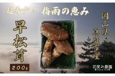 hana24-1.花笑み農園　超希少！早『松茸』200g～梅雨の恵み　（6～7月発送）