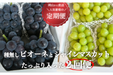 【定期便】【きよとうファーム】ピオーネとシャインマスカット たっぷり2kgの2回便！ (岡山県産) KF-T005-02 / ぶどう シャインマスカット ピオーネ ブドウ フルーツ 果物 岡山 真庭市 きよとう果樹園 セット