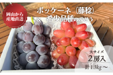 KF-B004-02【きよとうファーム】藤稔と赤色葡萄の特大２房入/計1.3kg~ (岡山県産)