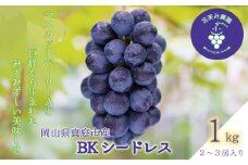 【2025年先行予約】ぶどう 岡山 花笑み農園の『BKシードレス』1kg（2～3房）hana27-1 1kg 贈答用 濃厚 ぶどう
