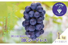 【2025年先行予約】ぶどう 岡山 花笑み農園の『BKシードレス』1kg（2～3房）hana27-1 1kg 贈答用 濃厚 ぶどう