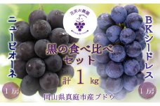 hana26-1.岡山　花笑み農園の『ニューピオーネ&BKシードレス』1kg(2房)