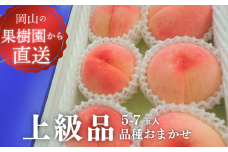 【きよとうファーム】旬採り桃の上級品 5-7玉入  (岡山県産) KF-A002-02 / もも 桃 モモ 先行予約 フルーツ 果物 真庭市 フルーツ王国 きよとう果樹園 岡山