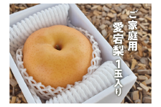 KF-C003【きよとうファーム】あたご梨 ご家庭用１玉入 /１kg~ (岡山県産)