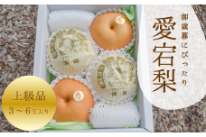 KF-C007-01【きよとうファーム】あたご梨 上級品 3-6玉 (岡山県産)