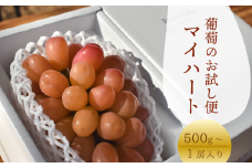 KF-B054-01【きよとうファーム】お試し便 マイハート １房/500g~ (岡山県産)