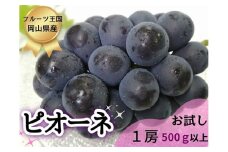 【お試し】フルーツ王国岡山の人気ぶどう　ピオーネ１房500ｇ以上！ 【2025年先行予約】 / 岡山 真庭 ピオーネ 葡萄 ぶどう ブドウ 果物 フルーツ 新鮮 濃厚 大粒 人気 数量限定 お買い得 訳あり 家庭用 ぶどう専門 林ファミリー (2025年8月下旬～発送予定) 