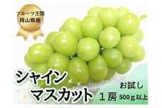 【お試し】フルーツ王国岡山シャインマスカット500ｇ以上！　朝採れぶどう１房 【2025年先行予約】/ 岡山 真庭 シャインマスカット マスカット 葡萄 ぶどう ブドウ 果物 フルーツ 新鮮 人気 数量限定 お買い得 訳あり 家庭用 ぶどう専門 林ファミリー  (2025年9月上旬～発送予定) 