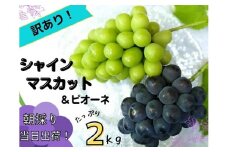 【訳あり】岡山県産ぶどう詰合せ２ｋｇ（シャインマスカット＋ピオーネ） 【2025年先行予約】 / 岡山 真庭 食べ比べ ピオーネ シャインマスカット 葡萄 ぶどう ブドウ 果物 フルーツ 新鮮 濃厚 人気 数量限定 お買い得 家庭用 お試し ぶどう専門 林ファミリー (2025年8月下旬～発送予定)