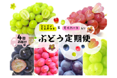 【産地直送】岡山シャインマスカット＆マイハート入り！新鮮ぶどう定期便×４回コース 【2025年先行予約】 / 岡山 真庭 食べ比べ シャインマスカット マイハート ピオーネ サニードルチェ 瀬戸ジャイアンツ 贈答 葡萄 ぶどう ブドウ 果物 フルーツ 新鮮 人気 数量限定 ぶどう専門 林ファミリー (2025年８月下旬～発送予定) 