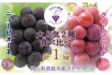 岡山　花笑み農園『ニューピオーネ&クイーンニーナ』1kg(2房) hana31. / ぶどう 詰め合わせ 食べ比べ 真庭市