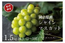 KGF-2.厳選　岡山県産　シャインマスカット　1.5㎏以上　2～3房　産地直送　朝採れ 【kgftmt002】