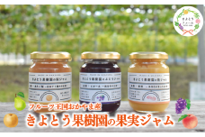 ご予約受付中！ 【きよとうファーム】果樹園の品種を楽しむ果実ジャム 3種 (岡山県産) 9月以降順次発送 KF-K004-01