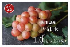 厳選　岡山県産　悟紅玉　1.0㎏以上　2房　旧ゴルビー　産地直送　朝採れ KGF-6. 【kgftmt006】