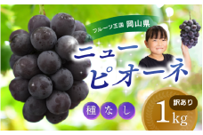 【2025年先行予約】 ぶどう 訳あり 花笑み農園の ニューピオーネ 1kg hana33. / ぶどう ブドウ 葡萄 岡山 ピオーネ 先行予約 フルーツ 果物 真庭市