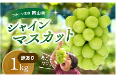 【2025年先行予約】ぶどう 訳あり 花笑み農園の シャインマスカット 1kg hana35. / ぶどう ブドウ 葡萄 岡山 シャインマスカット 先行予約 フルーツ 果物 真庭市