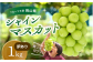 フルーツ王国岡山県真庭市シャインマスカット訳あり1kg