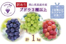 【2025年先行予約】 訳あり ぶどう 花笑み農園のぶどう おまかせ3種以上（約１kg） hana18-1. / ぶどう 詰め合わせ 食べ比べ ブドウ シャインマスカット ピオーネ クイーンニーナ オーロラブラック 瀬戸ジャイアンツ 翠峰 BKシードレス マスカサーティーン マスカットノワール 雄宝 マイハート 先行予約 フルーツ 果物 岡山 真庭市