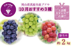 hana36.岡山　花笑み農園の『ぶどう３種セット』　10月おすすめセット　（約2kg3房）